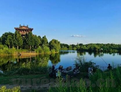 麻豆av.com-平台的多元化的观察与思考，麻豆AV.com的兴起与影响