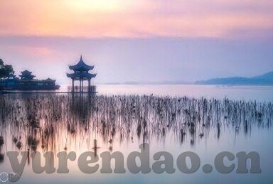 麻豆苹果app下载-探索麻豆苹果，为生活添一抹创意的色彩