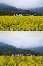 日韩av中文在线-探索日韩AV文化在中文在线平台的独特魅力与影响