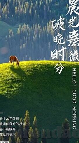 日韩国产av-探索日韩文化中的AV产业，一个多维视角的剖析